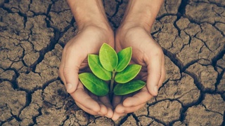 17 июня - Всемирный день борьбы с опустыниванием и засухой