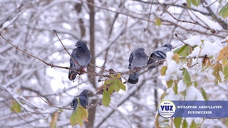 Weather forecast for January 26