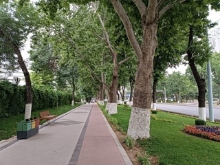 Бугун мамлакатимизда қандай об-ҳаво кузатиши маълум қилинди