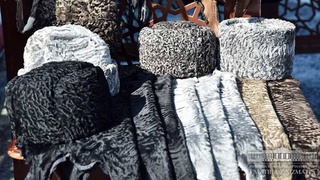 Развитие каракулеводства в Узбекистане: стремление к высоким показателям