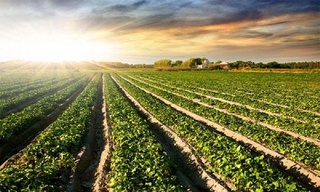 In Uzbekistan, the effectiveness of land protection and land use will increase