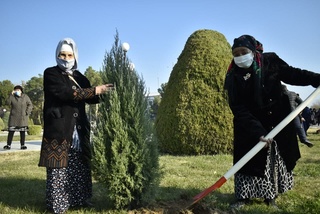 Сурхондарё вилоятида “Яшил Ватаним” дарахт экиш акциясига старт берилди