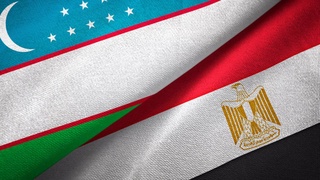 СМИ Египта: саммит высокого уровня откроет новую страницу во взаимоотношениях