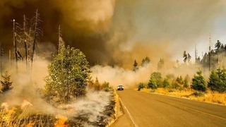 ООН: глобальное потепление связано с деятельностью человека и происходит с беспрецедентной скоростью