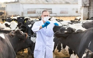 Узбекистан совместно со странами Центральной Азии работают над улучшением здоровья животных