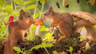 Пешгӯии обу ҳаво дар як ҳафта: боз болоравии ҳарорат дар назар аст