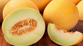 Май ойида 186,6 тонна қовун экспорт қилинган