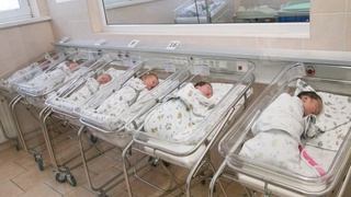 Сирдарёда саккиз ойда 15 мингдан кўп туғилиш қайд этилди