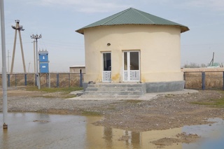 Манасликлар нега ёмғирдан қўрқарди?