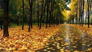 О прохладном конце сентября