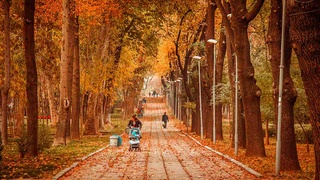 Иш ҳафтаси илиқ ва деярли қуруқ бўлиши кутилмоқда