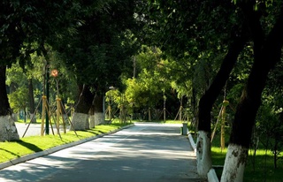 Демалыс күндері ауа температурасы аздап төмендейді деп күтілуде