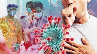 «Большинство больных Covid-19 не заразны»: ученые выявили суперносителей