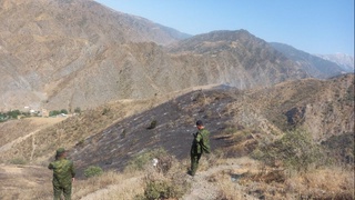 Zomindagi qishloq hududida yongʻin sodir boʻldi