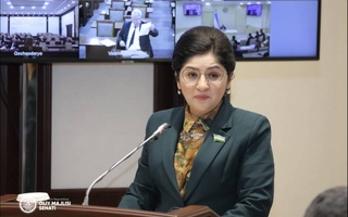 Защита интересов женщин, обеспечение гендерного равенства находятся под постоянным контролем верхней палаты парламента