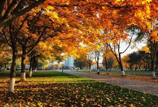 Weather forecast for October 17th