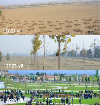 Новый сад в пустыне!