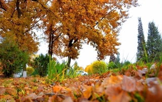 Дам олиш кунлари ҳаво илиқ бўлади