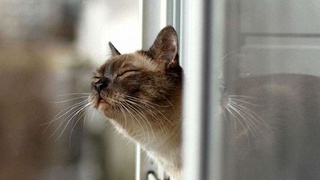 Очень теплая погода ожидается на выходные дни, но потом похолодает