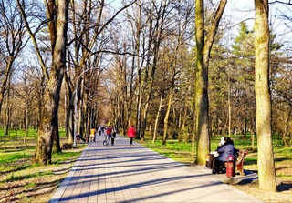 Прогноз погоды на 11 января