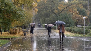 Weather forecast for November 13th