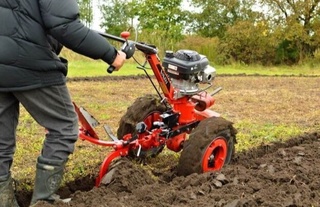 Жатып ишерлер емес, мийнеткешлер көбеймекте