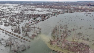 Оренбург вилояти: Урал дарёсининг сув сатҳи яна кўтарилди