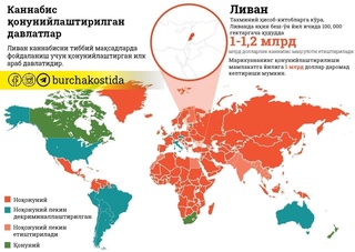 Каннабис ўсимлиги етиштиришга рухсат берувчи қонун қабул қилинди