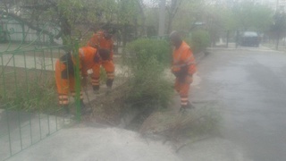 «Махсустранс» хизмати ишчиларини ёмғир таслим қила олмади