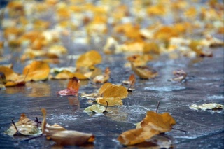 Эртага баъзи жойларда туман тушиб ёмғир ёғиши мумкин