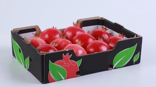 Оңтүстік Корея нарығында өзбек анарына сұраныс артып келеді