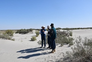 Орол денгизининг қуриган тубида экосистемалар қайта тикланади