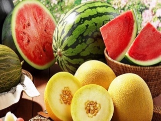 Ўзбекистон 16,4 млн АҚШ долларига тенг қовун ва тарвуз экспорт қилган