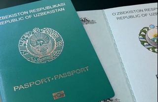 Получить гражданство можно через ЕПИГУ