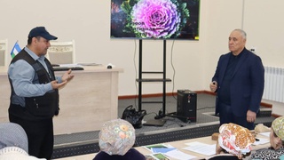 Правильно организованная теплица - высокий урожай