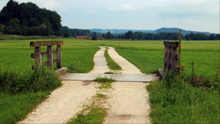 Сервитут борасида қандай янгиликлар амалга оширилди?