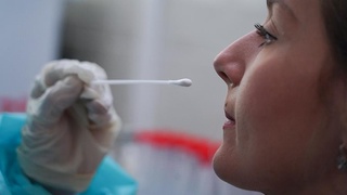 Ученые выяснили сроки, когда тест на Covid-19 наиболее точен