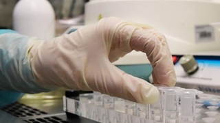 Coronavirus cases in Uzbekistan surpass 3000