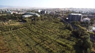 «Мой сад»: по всему Узбекистану формируются новые зеленые общественные пространства