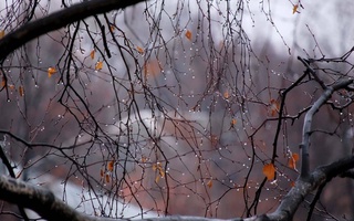 Прогноз погоды на 14 февраля