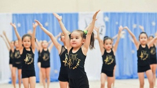 Определены основные задачи Гимнастических центров