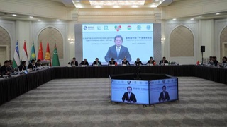 Чжао Чжиминь: «Важно усилить партнерство в таких областях, как экономика, изменение климата, цифровизация, наука и образование»