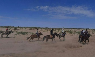 Қашқадарё вилоятида "Ўзбекистон отлари" кўргазмали спорт мусобақаси бўлиб ўтади