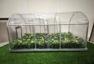 Мамлакатимизда ҳароратни мўътадиллаштирувчи “ақлли“ плёнка ишлаб чиқариш йўлга қўйилади