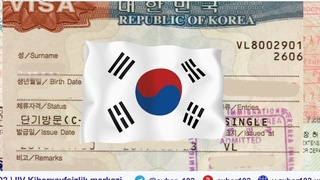 Fuqaroni chuv tushirgan firibgarga nisbatan jinoyat ishi qoʻzgʻatildi