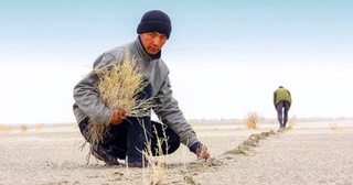 Генассамблея ООН приняла предложенную Узбекистаном резолюцию о борьбе с экологическими проблемами в Центральной Азии