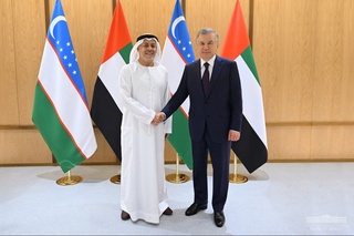 O‘zbekiston Prezidenti “Amea Rower” kompaniyasi bilan hamkorlik rejalarini muhokama qildi