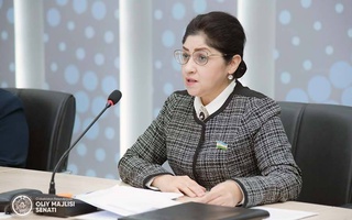 Предварительно рассмотрены результаты парламентского запроса, направленного в Кабинет Министров