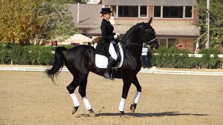 Сменился фаворит