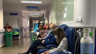 ВОЗ готовит к выпуску три вакцины от COVID-19